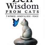 Cat Care Kindle eBook by Amazon – 147‑Page Guide with X‑Ray Word Wise-0