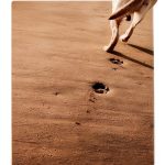 Dogwise Publishing Pet Loss Grief Guide for Cat Owners Kindle eBook-0